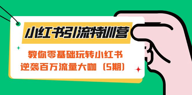 小红书引流特训营-第5期：教你零基础玩转小红书，逆袭百万流量大咖-唐人网创