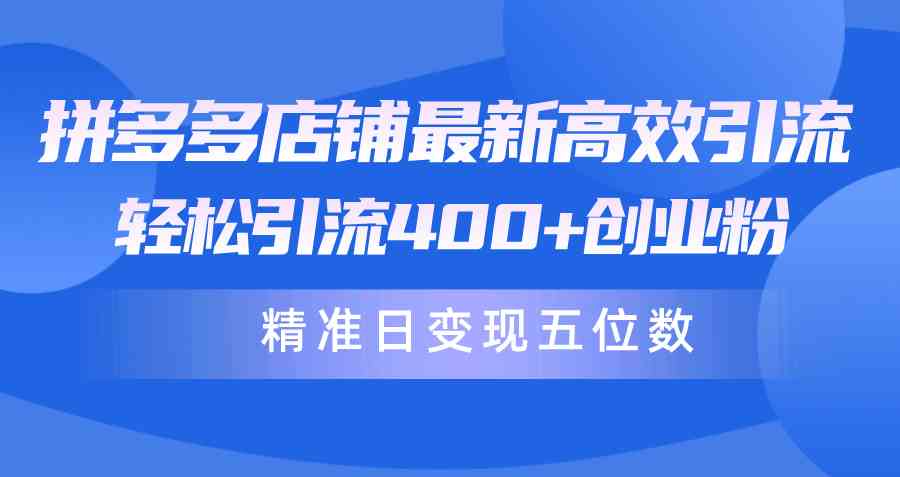 （10041期）拼多多店铺最新高效引流术，轻松引流400+创业粉，精准日变现五位数！-唐人网创