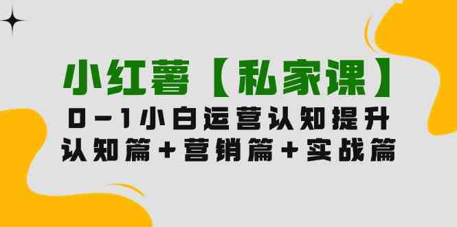 （9910期）小红薯【私家课】0-1玩赚小红书内容营销，认知篇+营销篇+实战篇（11节课）-唐人网创