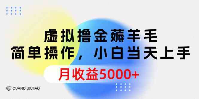 （9864期）虚拟撸金薅羊毛，简单操作，小白当天上手，月收益5000+-唐人网创