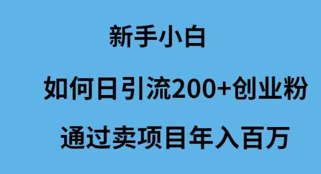 （9668期）新手小白如何日引流200+创业粉通过卖项目年入百万-唐人网创