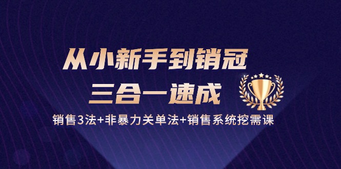 （10799期）从小新手到销冠 三合一速成：销售3法+非暴力关单法+销售系统挖需课 (27节)-唐人网创