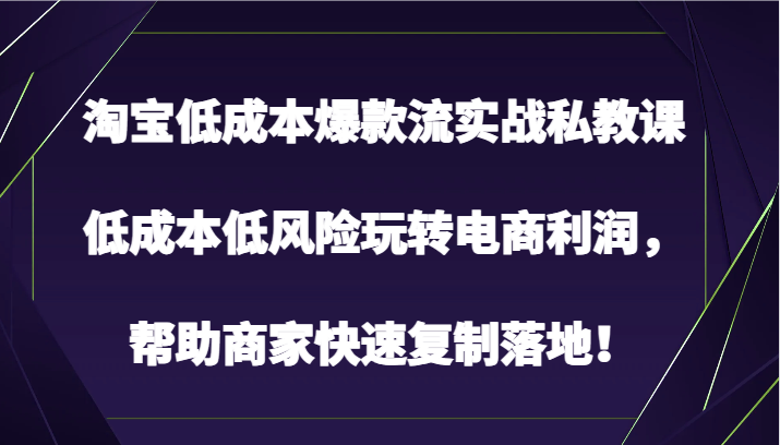 淘宝低成本爆款流实战私教课，低成本低风险玩转电商利润，帮助商家快速复制落地！-唐人网创