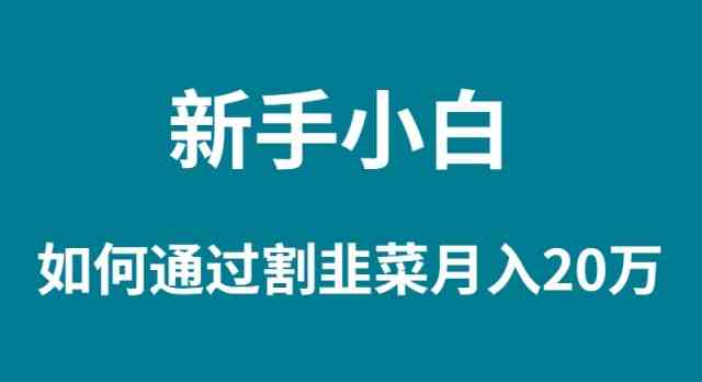 （9308期）新手小白如何通过割韭菜月入 20W-唐人网创