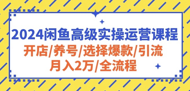 2024闲鱼高级实操运营课程：开店/养号/选择爆款/引流/月入2万/全流程-唐人网创