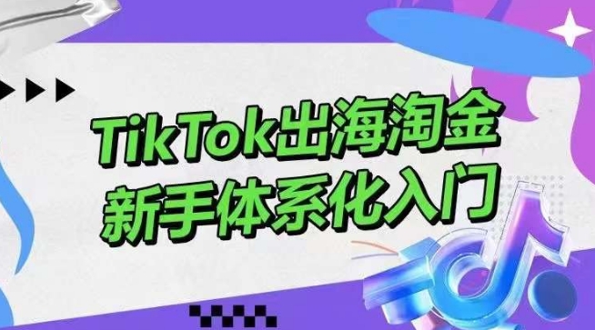 TikTok出海淘金，新手体系化入门，零基础快速入门，掌握短视频、直播带货等引流到变现的知识-唐人网创